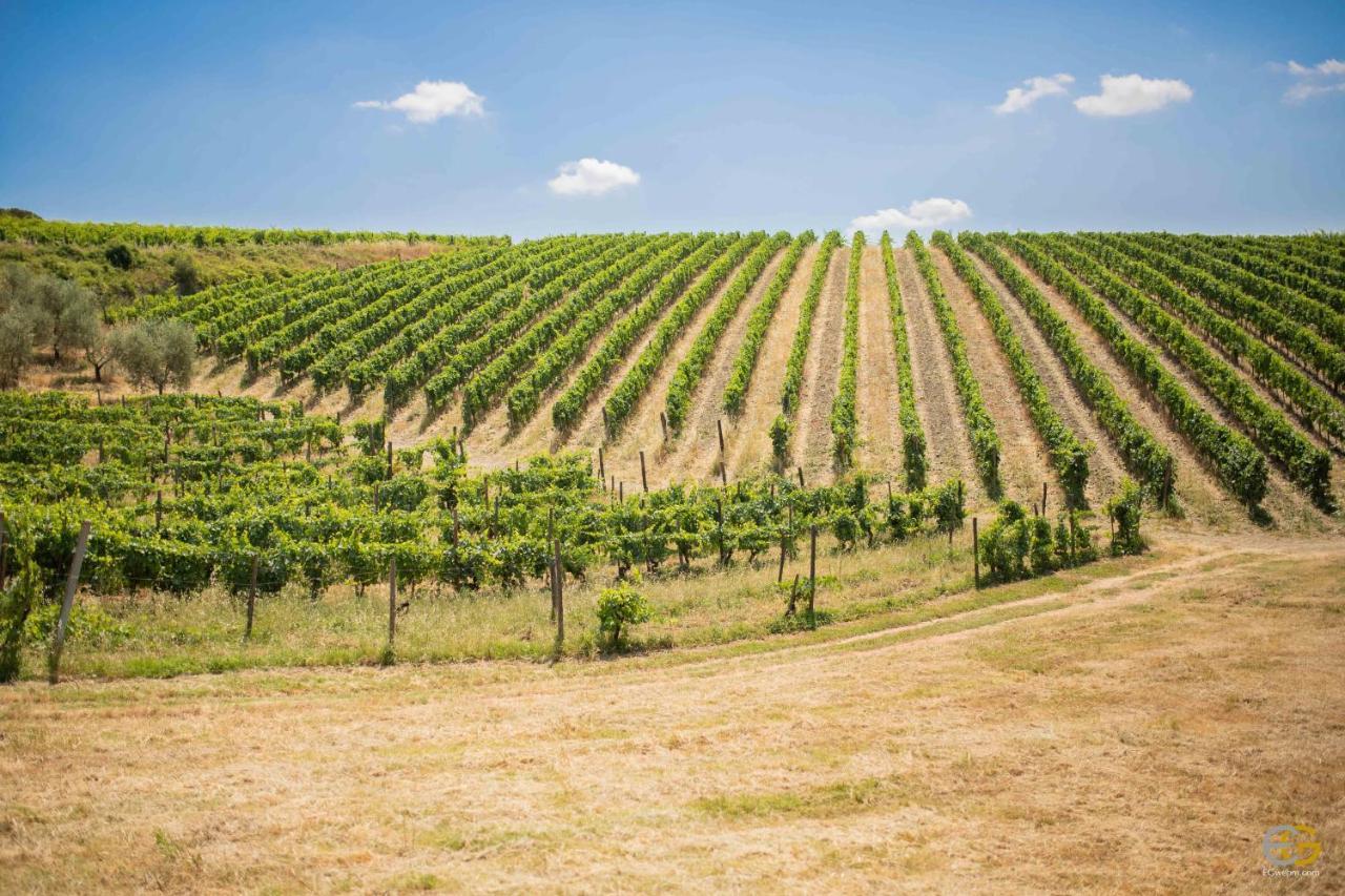 Terre Di Melazzano - Le Case Di Patrizia Greve in Chianti Zewnętrze zdjęcie